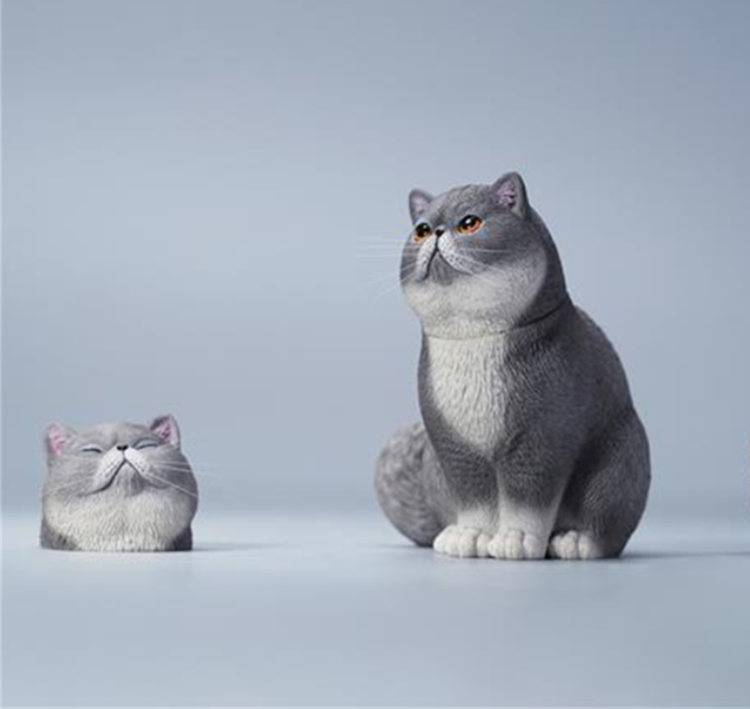 JXK 1/6 Change Head Exoticshorthair Cat Model