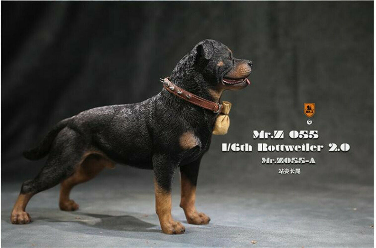Mr.z 1/6 Rottweiler Figure