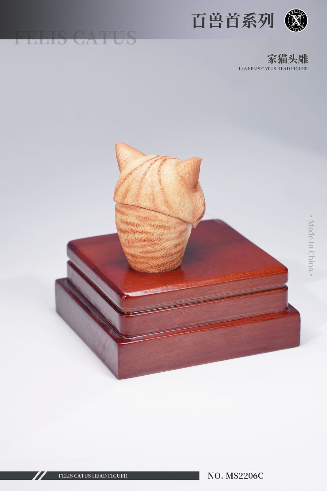 Mostoys 1/6 Felis Catus Head Figure
