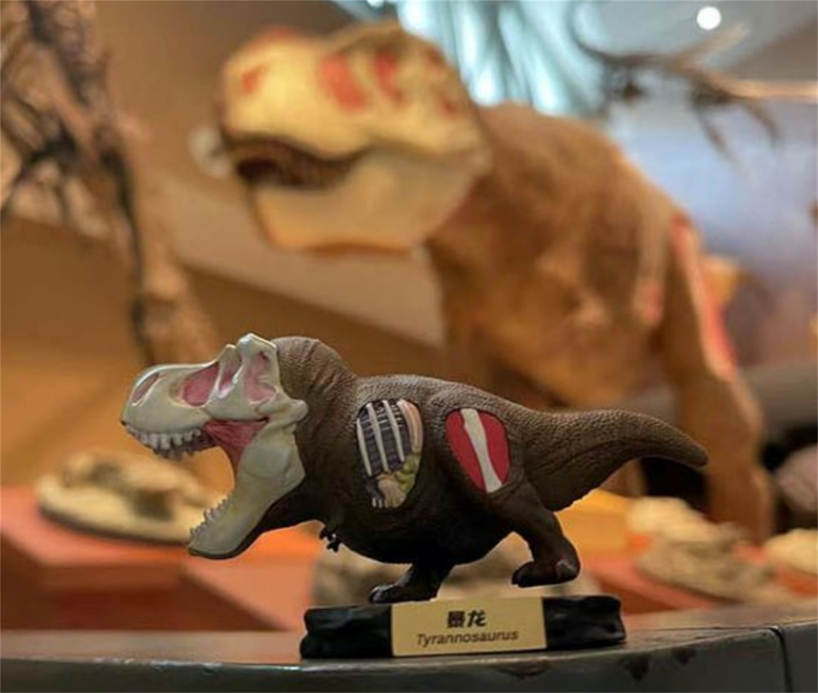 Animal Planet T-Rex Model