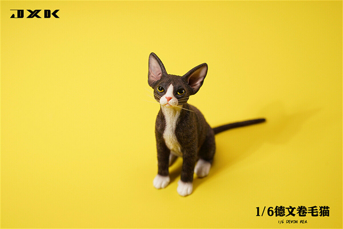 JXK 1/6 Devon Rex Model