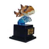 Shark Blind Box Model