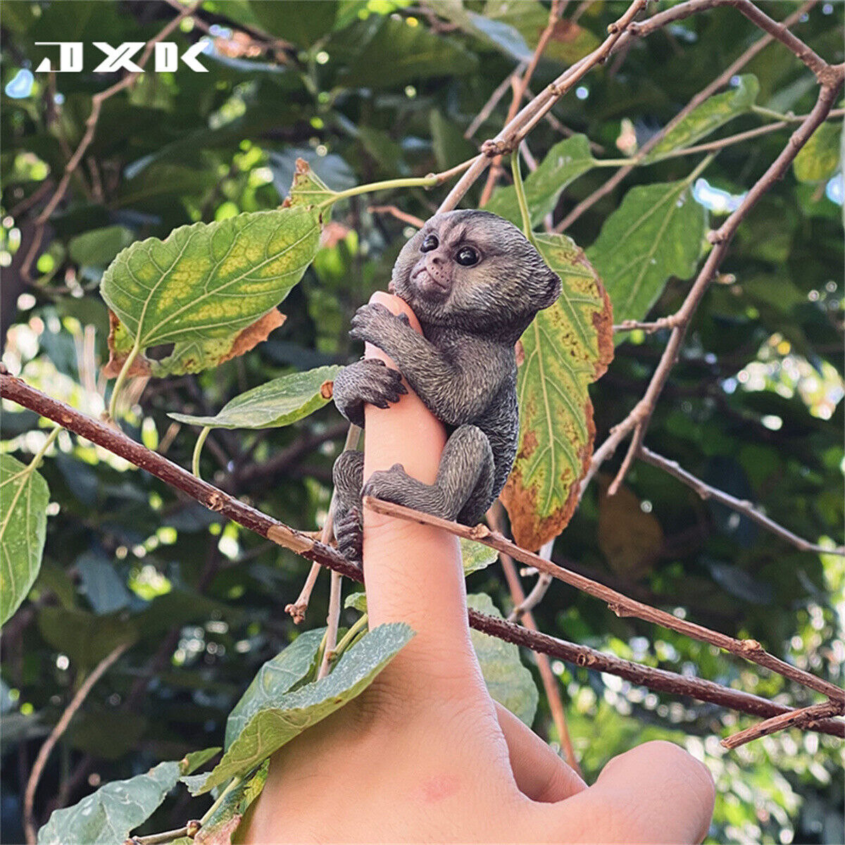 JXK 1/1 Callithrix Jacchus Model