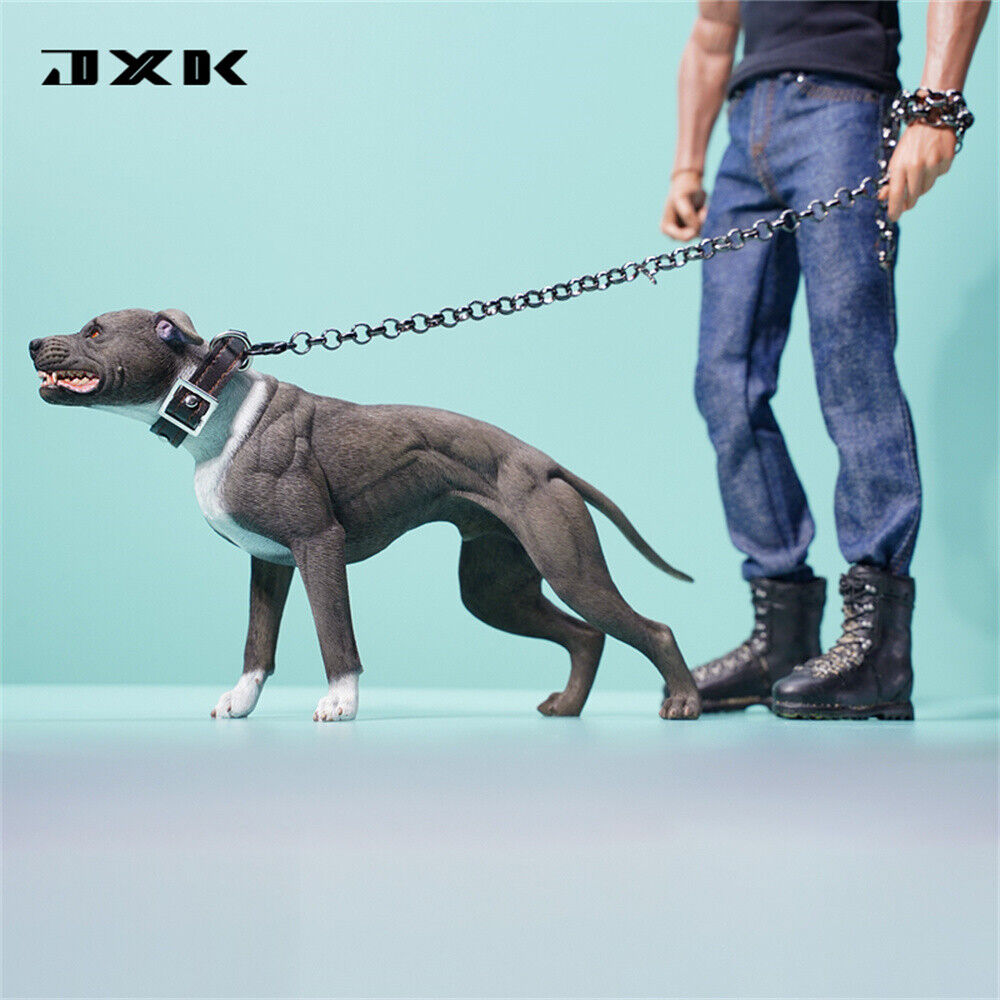 JXK 1/6 American Pit Bull Terrier Model
