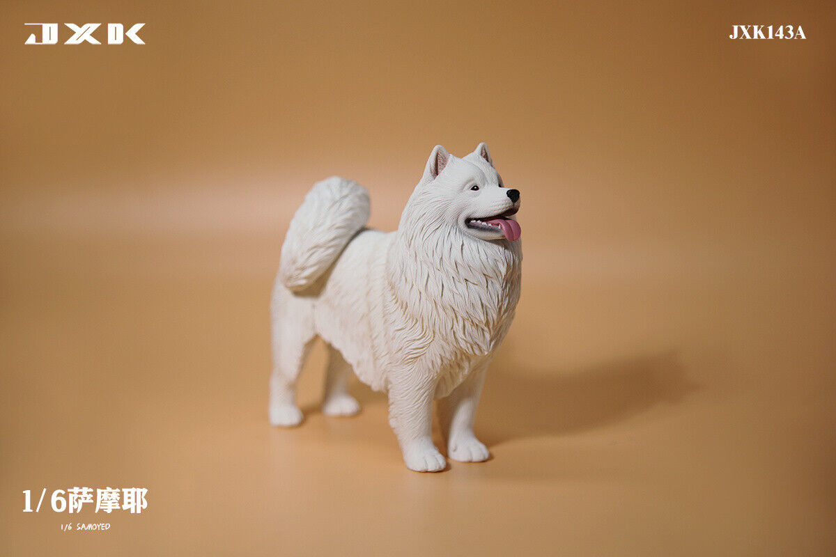 JXK 1/6 Samoyed Model