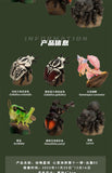 Animal Planet 11 Insect 2.0 Blind Box Model