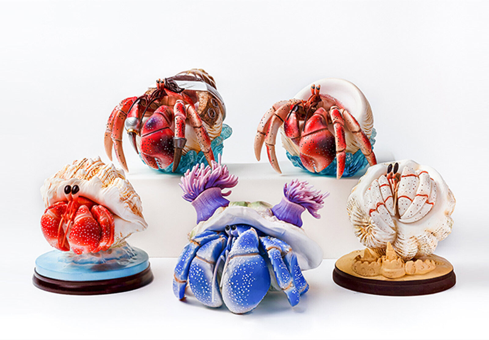 KONGZOO Summer Hermit Crab Model