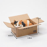 JXK Small The Cat In The Delivery Box 2.0 Model