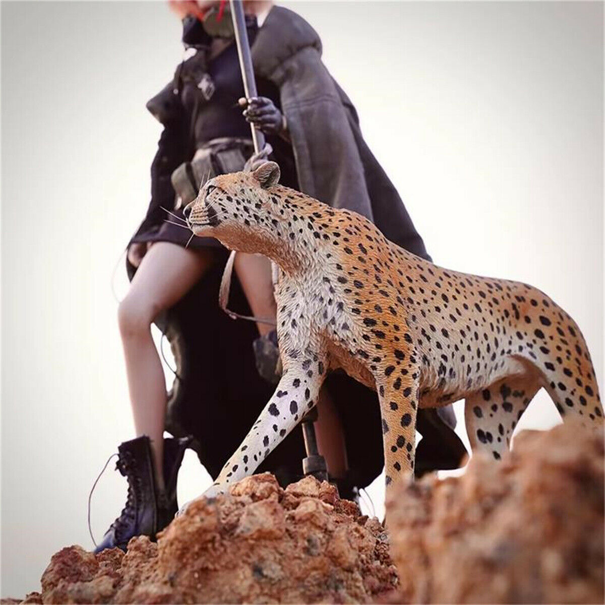 JXK 1/6 Acinonyx jubatus King Cheetha Model