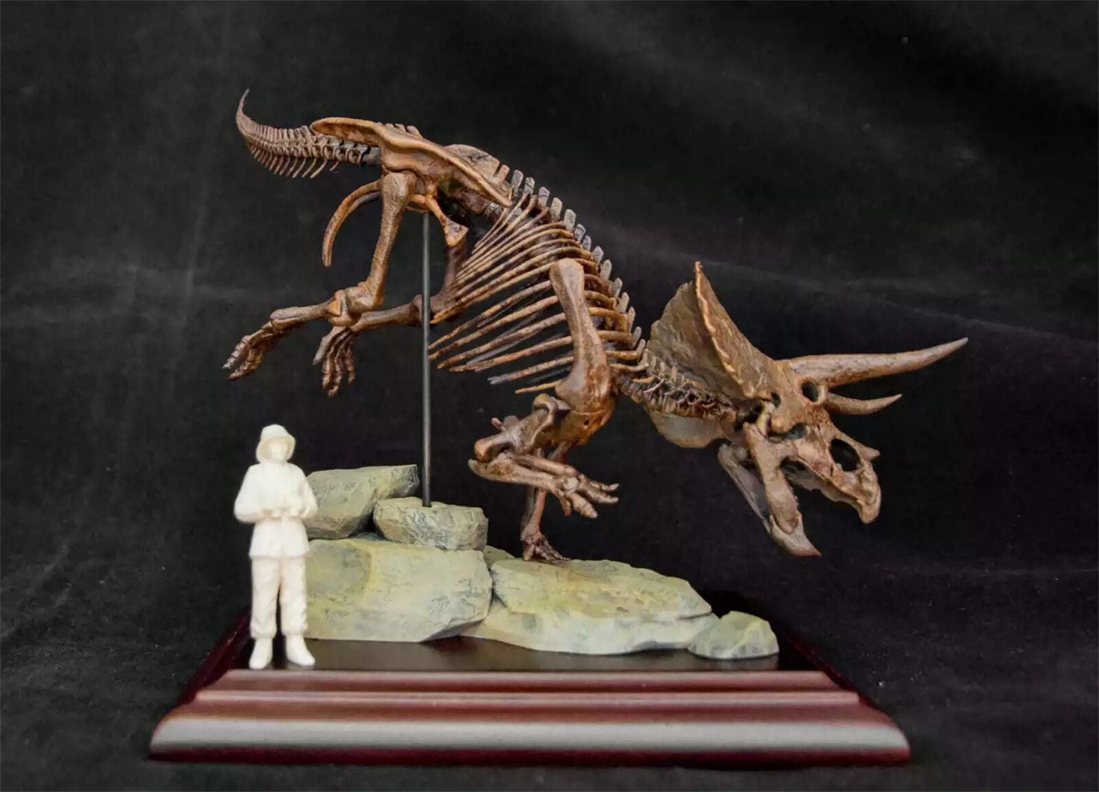 VWUVWU 1/35 Triceratops Skeleton Model