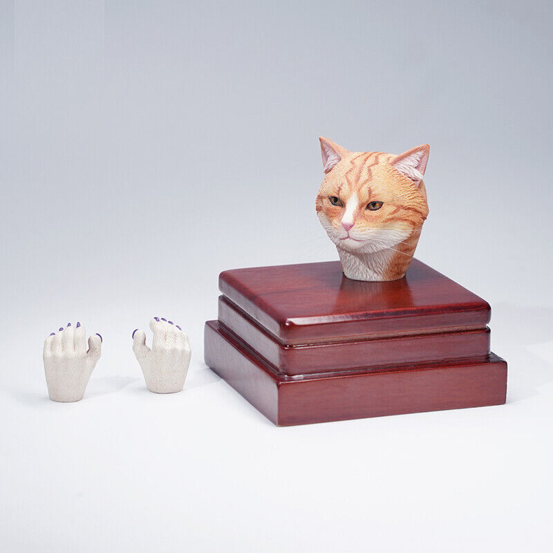Mostoys 1/6 Felis Catus Head Figure