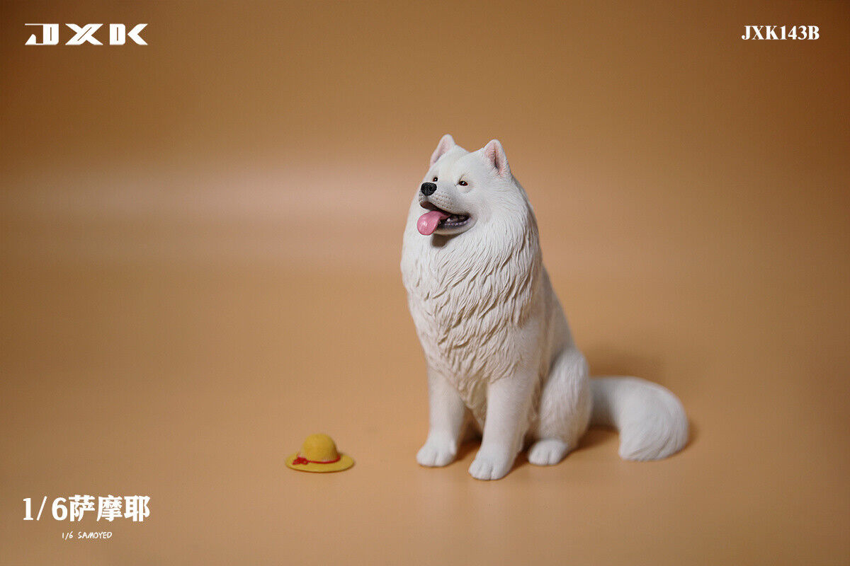 JXK 1/6 Samoyed Model