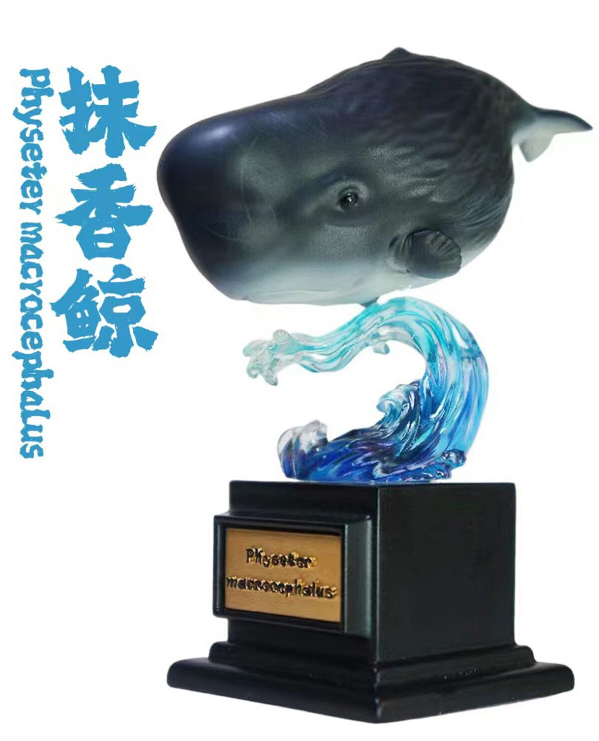 Whale Blind Box Model