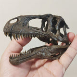 1/10 Acrocanthosaurus Skull Model