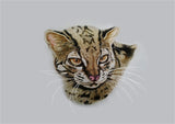 Woo-Model Studio 1/10 Nepalese Marbled Cat Model