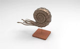 Rheic 1/35 Ammonite Model