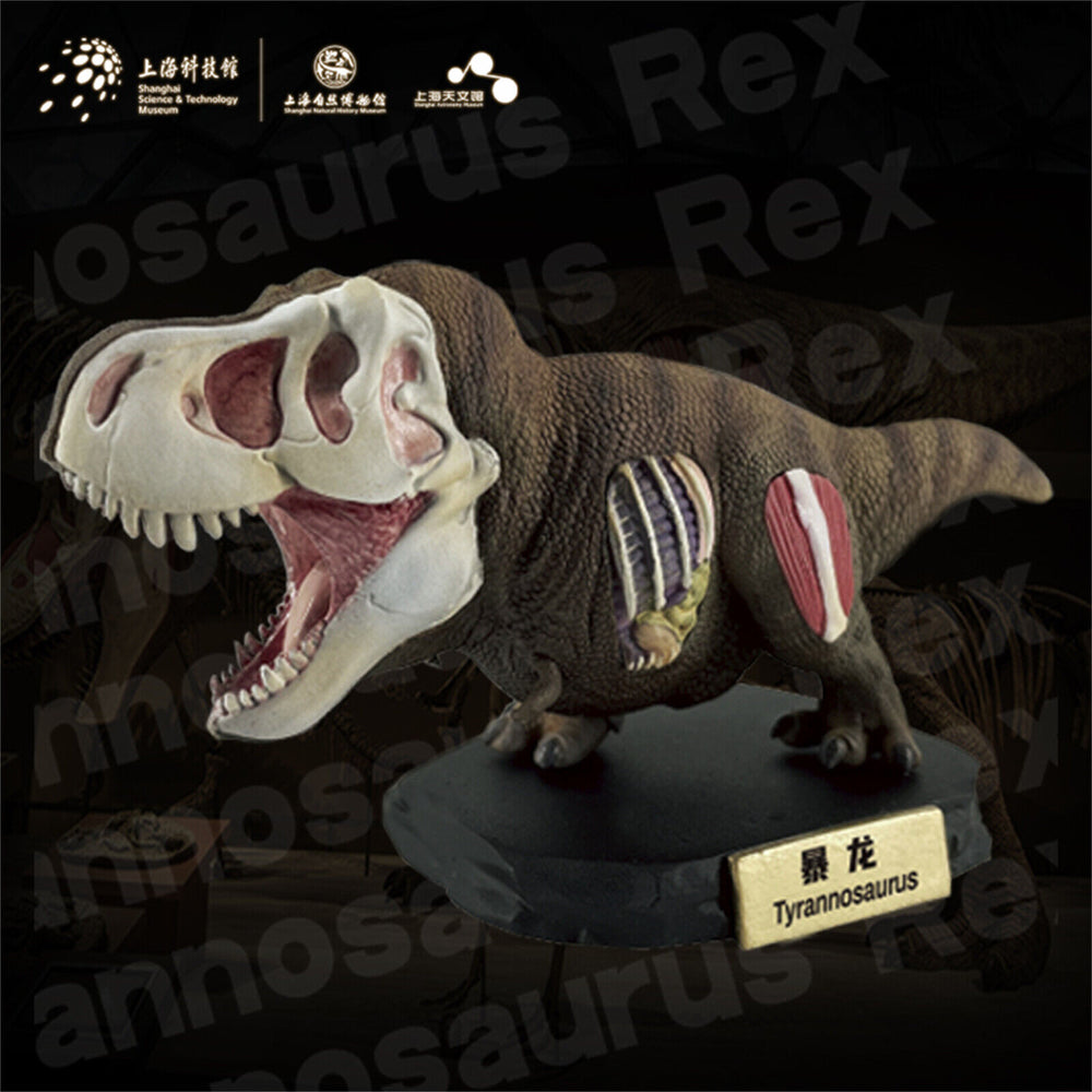 Animal Planet T-Rex Model