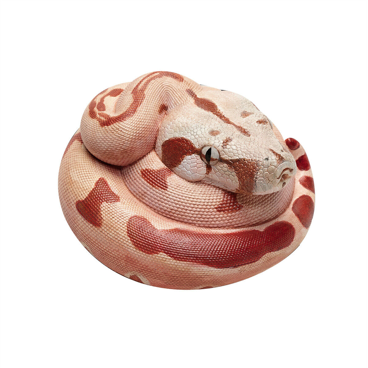 Animal Planet 09 Snake 2.0 Blind Box Model