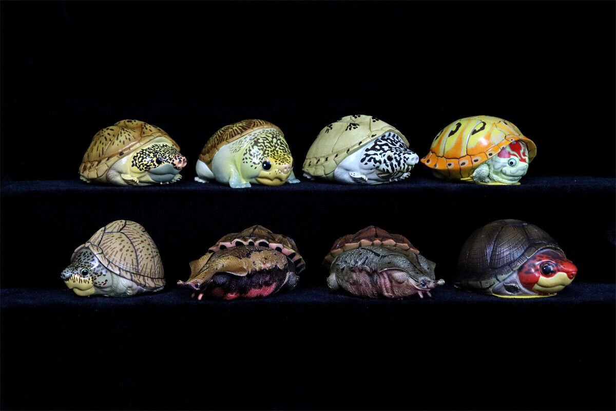 Animal Planet 08 Turtle Blind Box Model