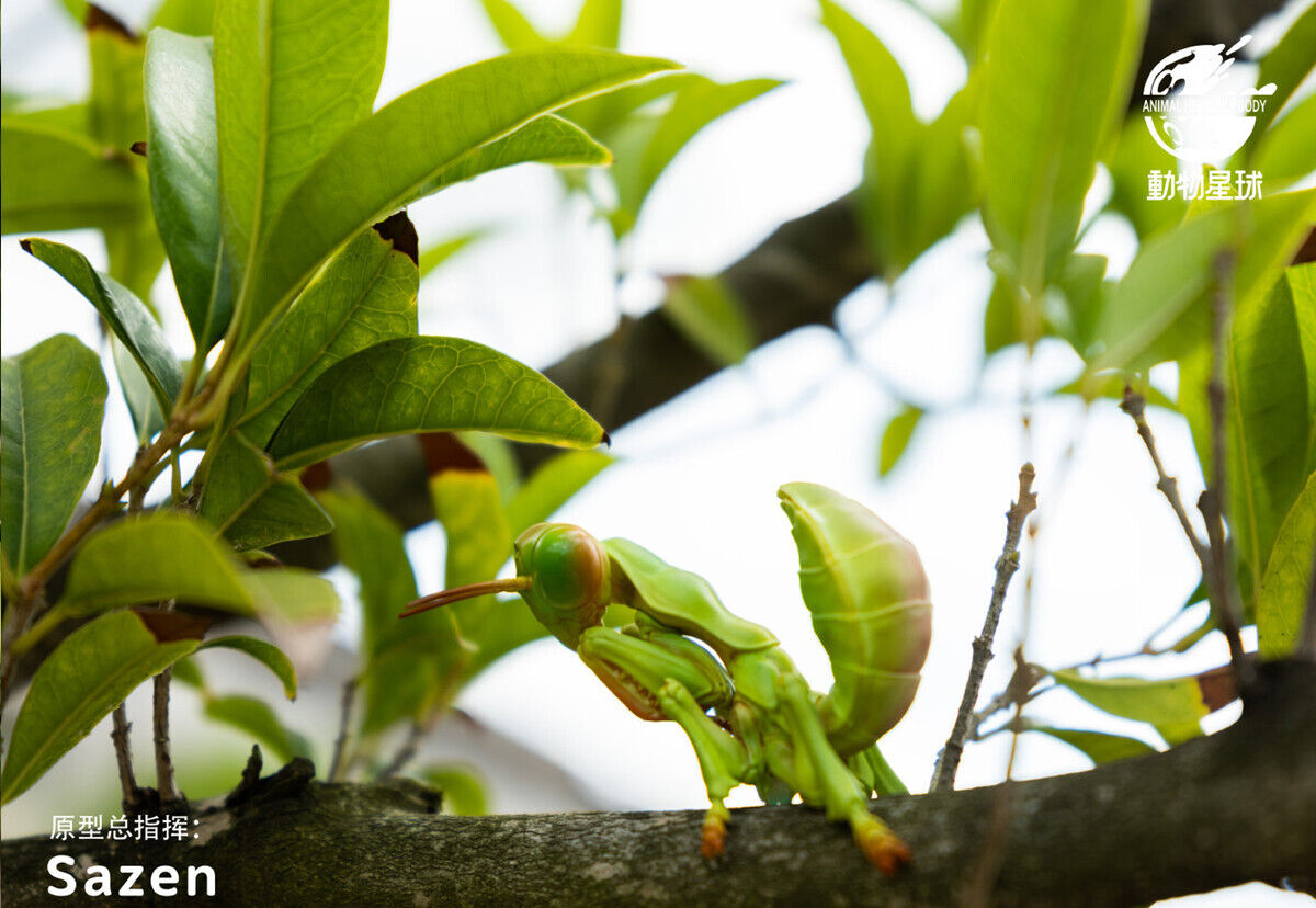 Animal Planet 07 Insect Blind Box Model