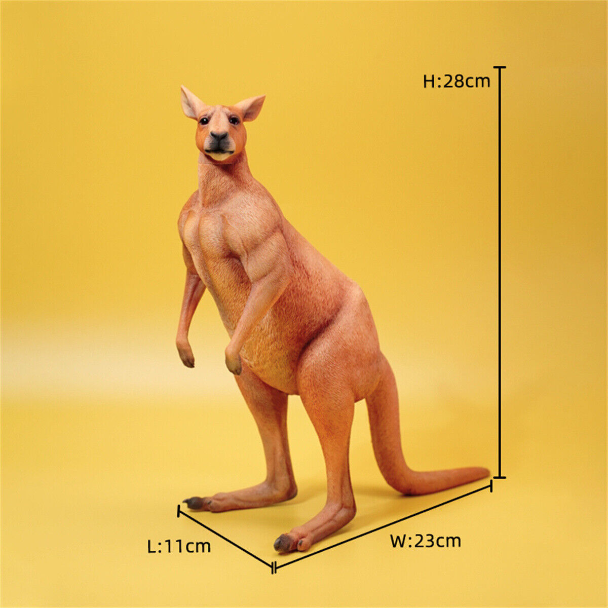 JXK 1/6 Kangaroo Model