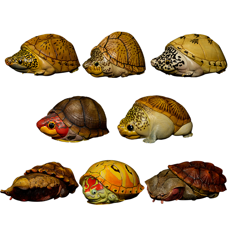 Animal Planet 08 Turtle Blind Box Model