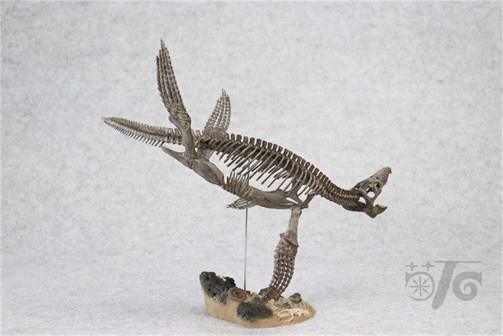 1/20 Pliosaurus Skeleton Model
