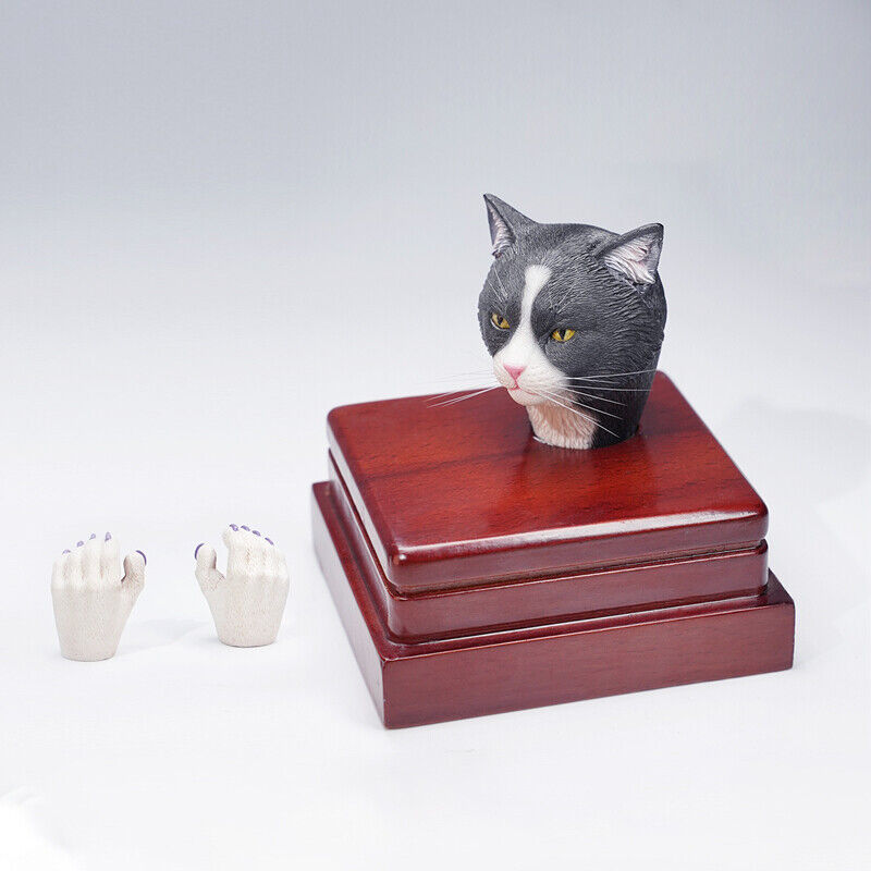 Mostoys 1/6 Felis Catus Head Figure