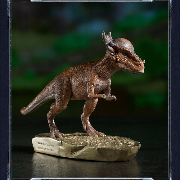 TONGSHIFU 1/20 Pachycephalosaurus Model
