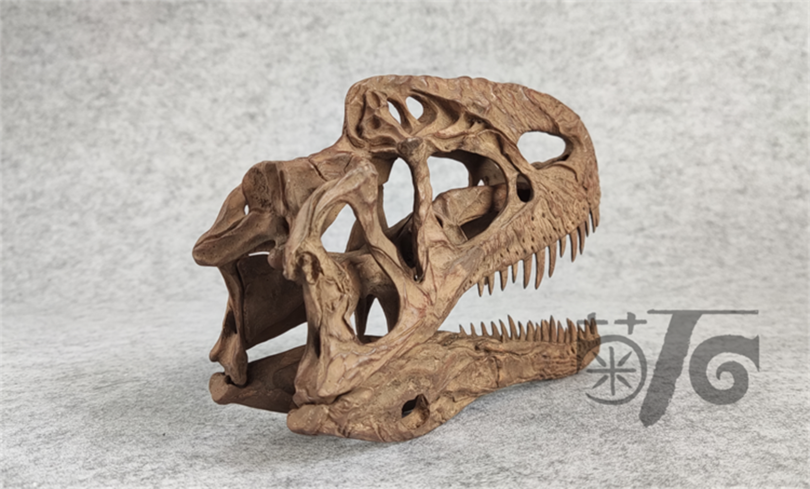 1/3 Monolophosaurus Skull Model
