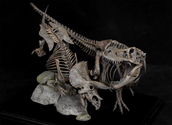 VWUVWU 1/20 Tyrannosaurus VS Triceratops Skeleton Model