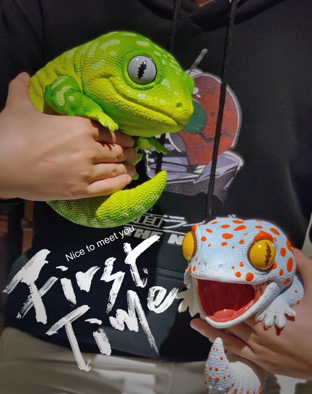 Wall lizard Plus Limited Model