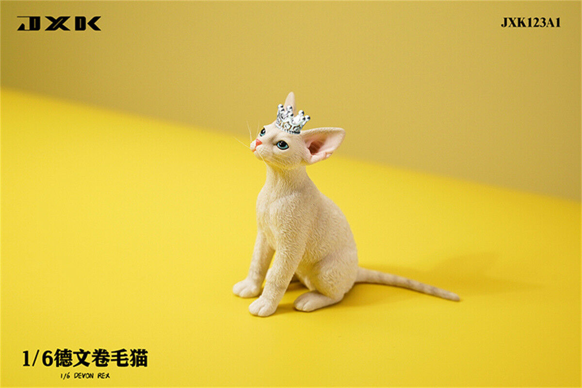 JXK 1/6 Devon Rex Model