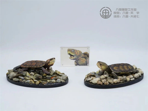 1:1 Big-headed Turtle Statue