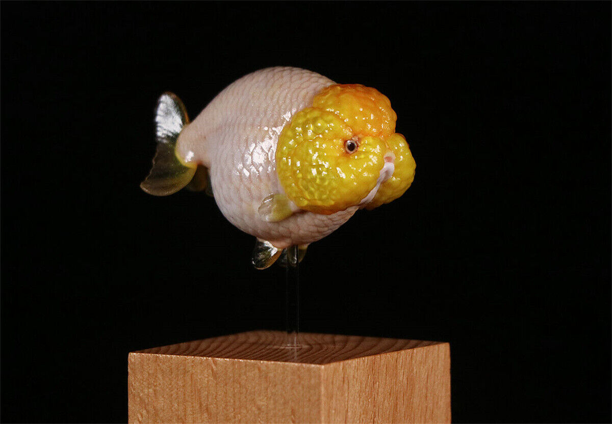 Lanshou Goldfish Model
