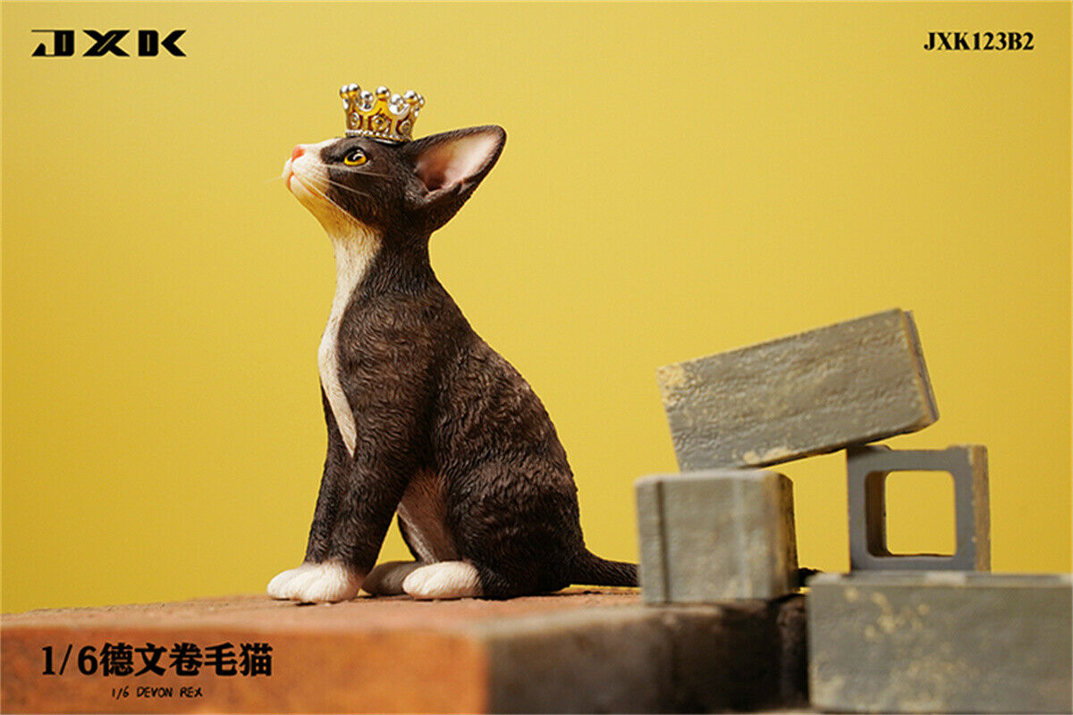 JXK 1/6 Devon Rex Model