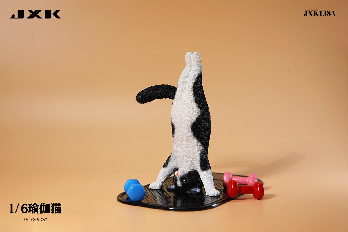 JXK 1/6 Yoga Cat Model