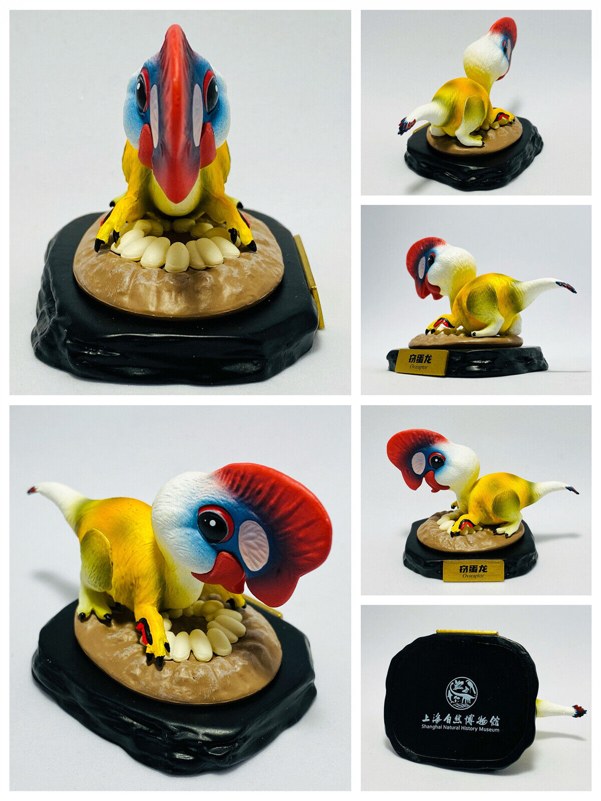 Animal Planet Oviraptor Model