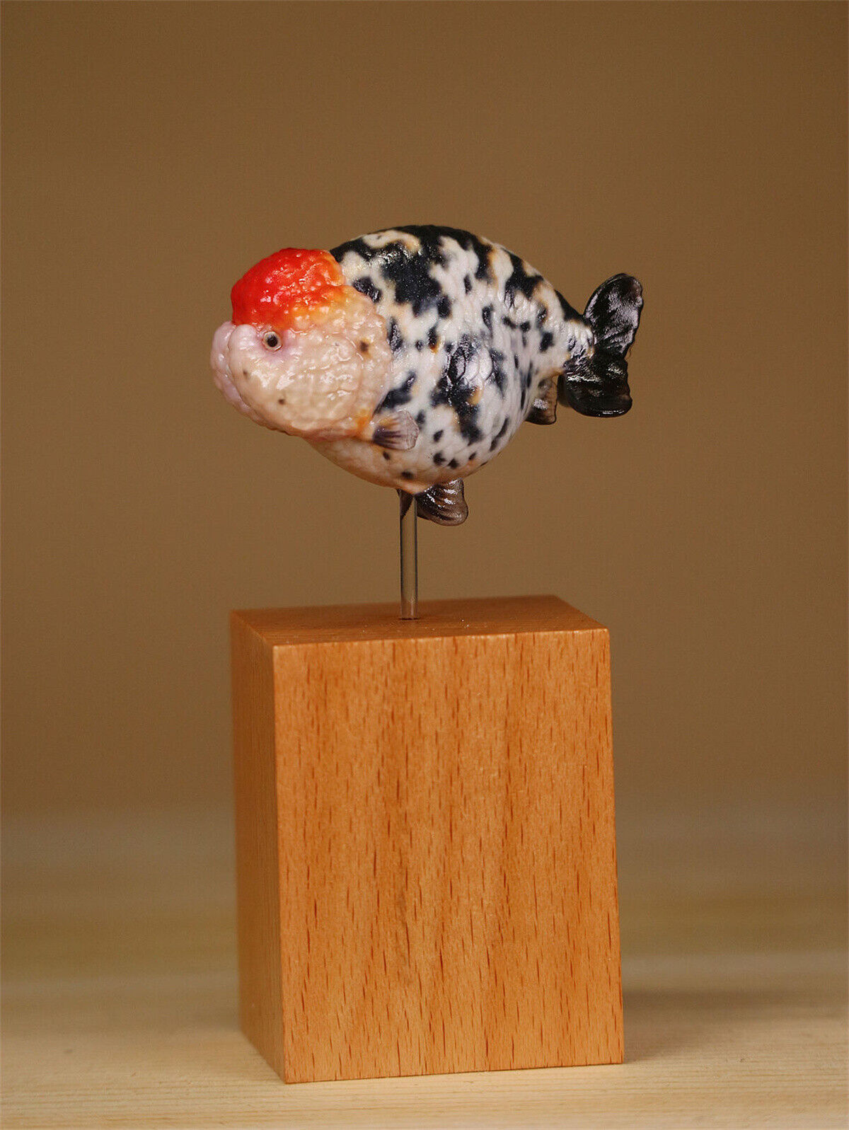 Lanshou Goldfish Model