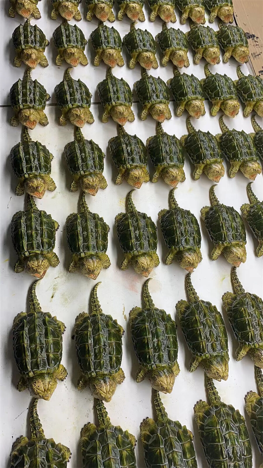 Alligator Snapping Turtle Model