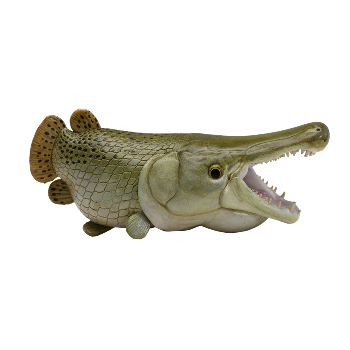 Animal Planet Alligator Gar Model