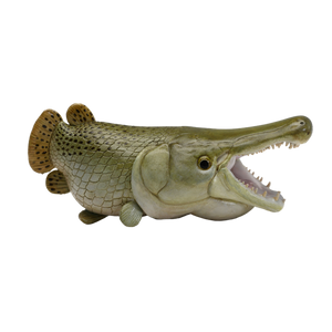 Animal Planet Alligator Gar Model