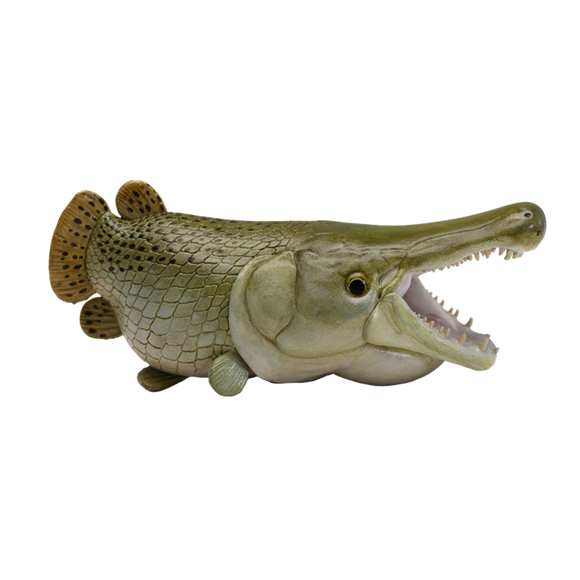 Alligator gar hot sale stuffed animal