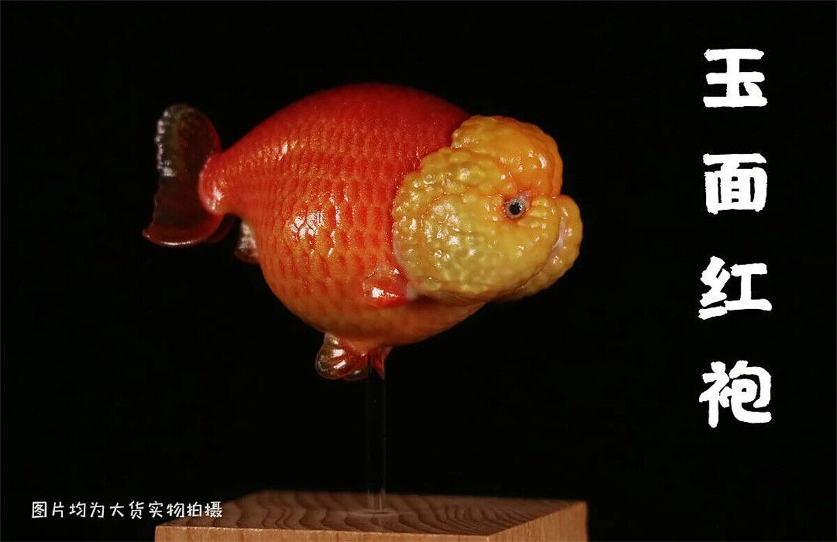 Lanshou Goldfish Model