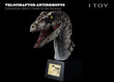 ITOY Velociraptor Antirrhopus Head Bust Model