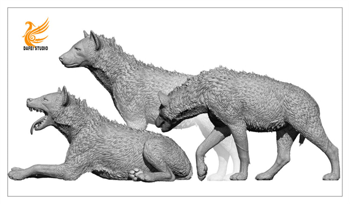Dafei Spotted Hyaena Model