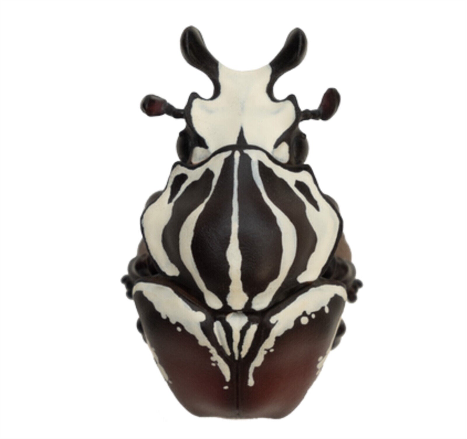 Animal Planet 11 Insect 2.0 Blind Box Model