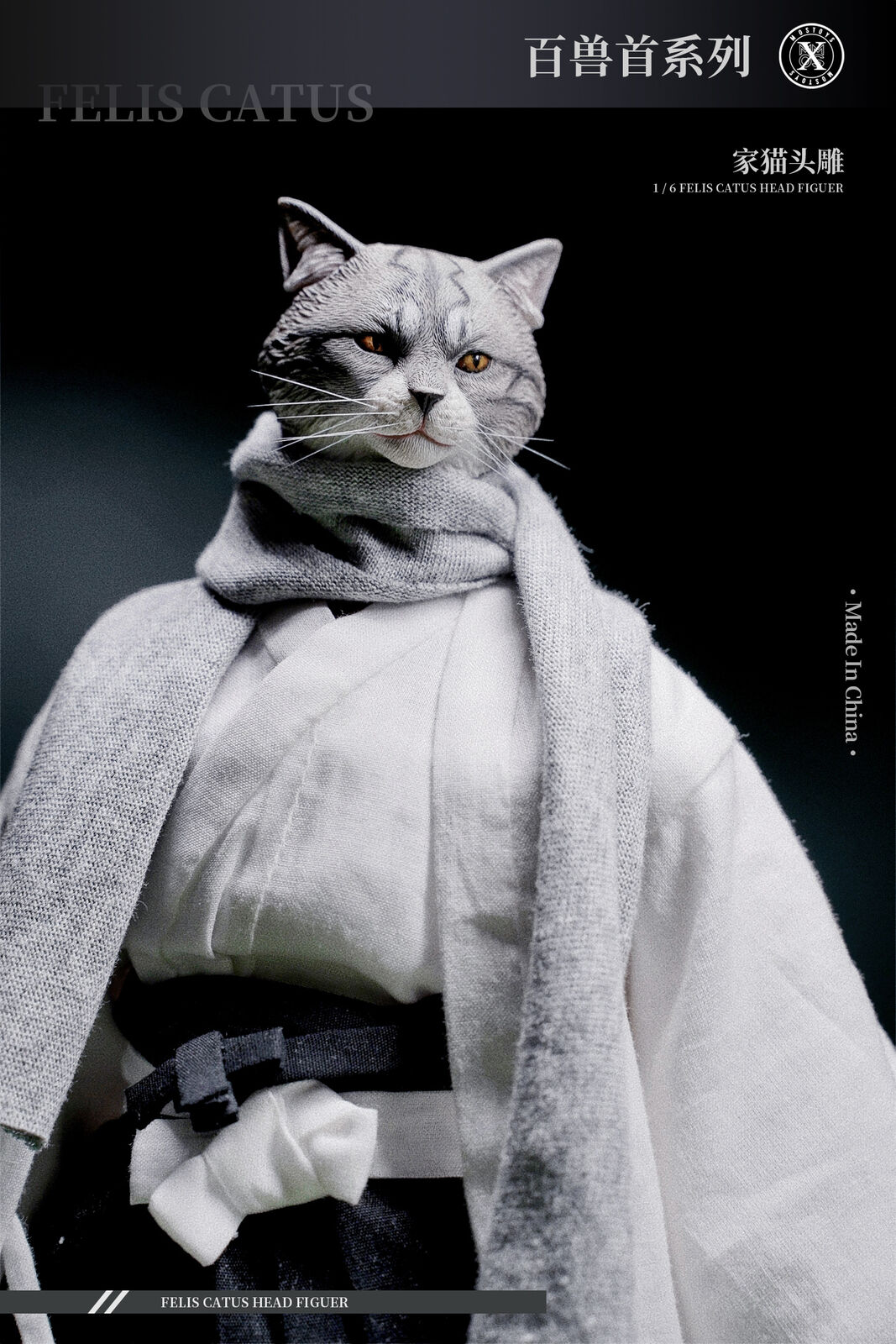 Mostoys 1/6 Felis Catus Head Figure