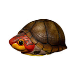 Animal Planet 08 Turtle Blind Box Model