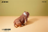 JXK 1/6 Mini Bully Dog Model